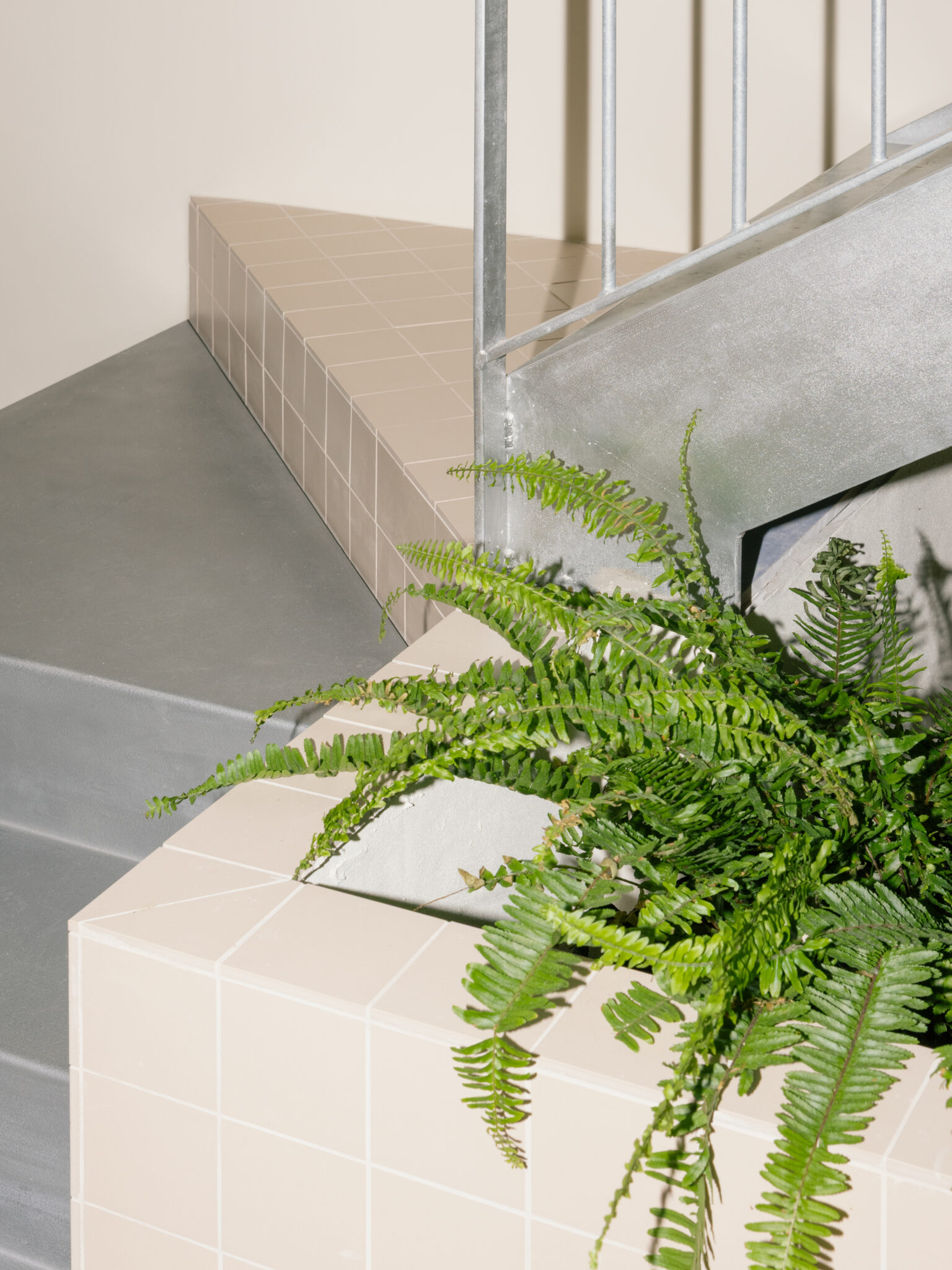 Còpia de SimoneMarcolin_JPG3000WEB_2507_Grat_M33_F3