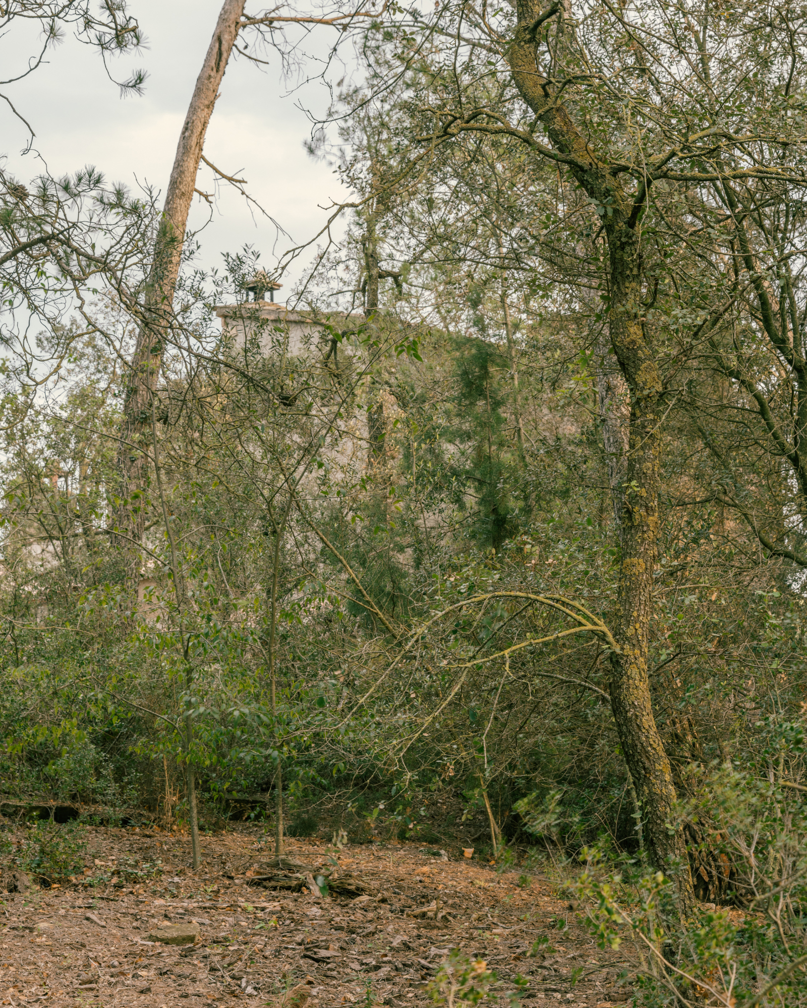 Còpia de SimoneMarcolin_JPG_IG5x4_2410_GuillemElvira_CalCosme_DSC4319